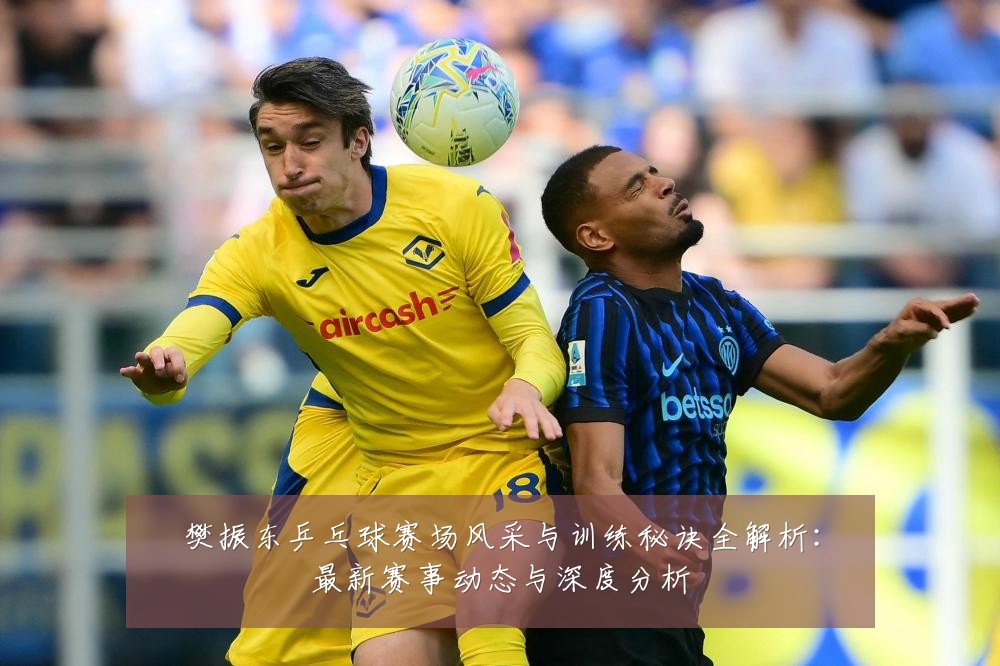 樊振东乒乓球赛场风采与训练秘诀全解析：最新赛事动态与深度分析